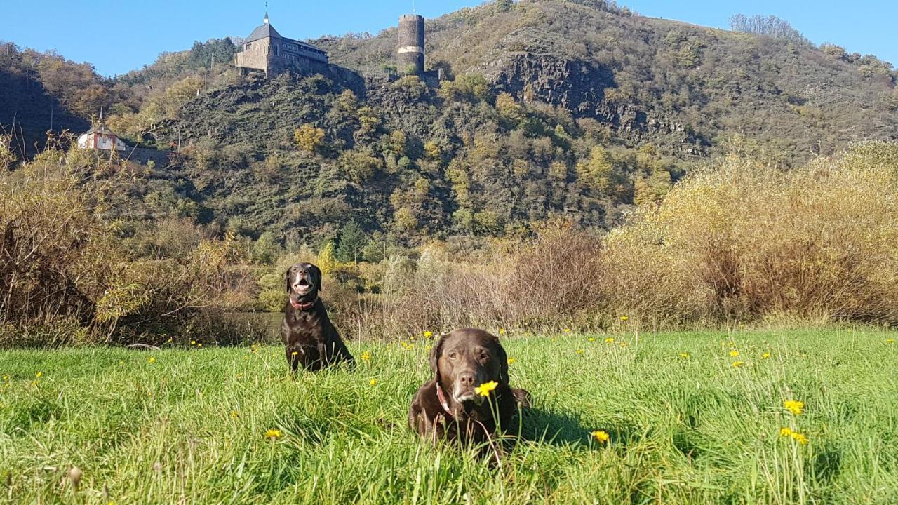 Ferienhaus Leopold Mit Burgblick An Der Mosel Burgen  Esterno foto