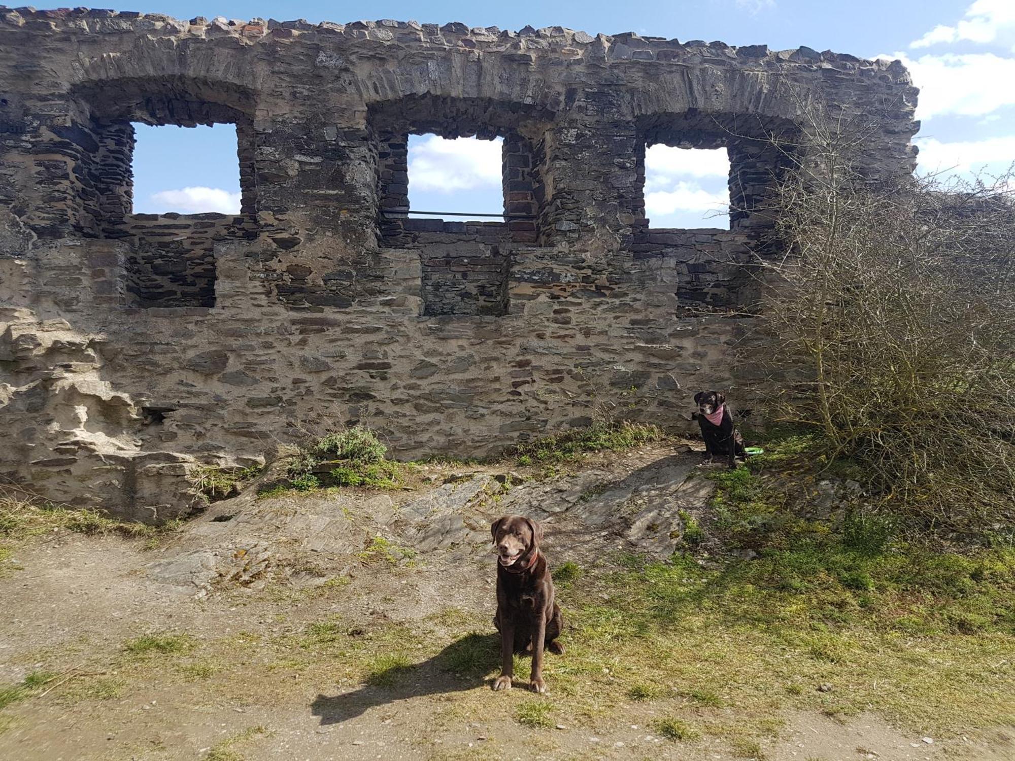 Ferienhaus Leopold Mit Burgblick An Der Mosel Burgen  Esterno foto