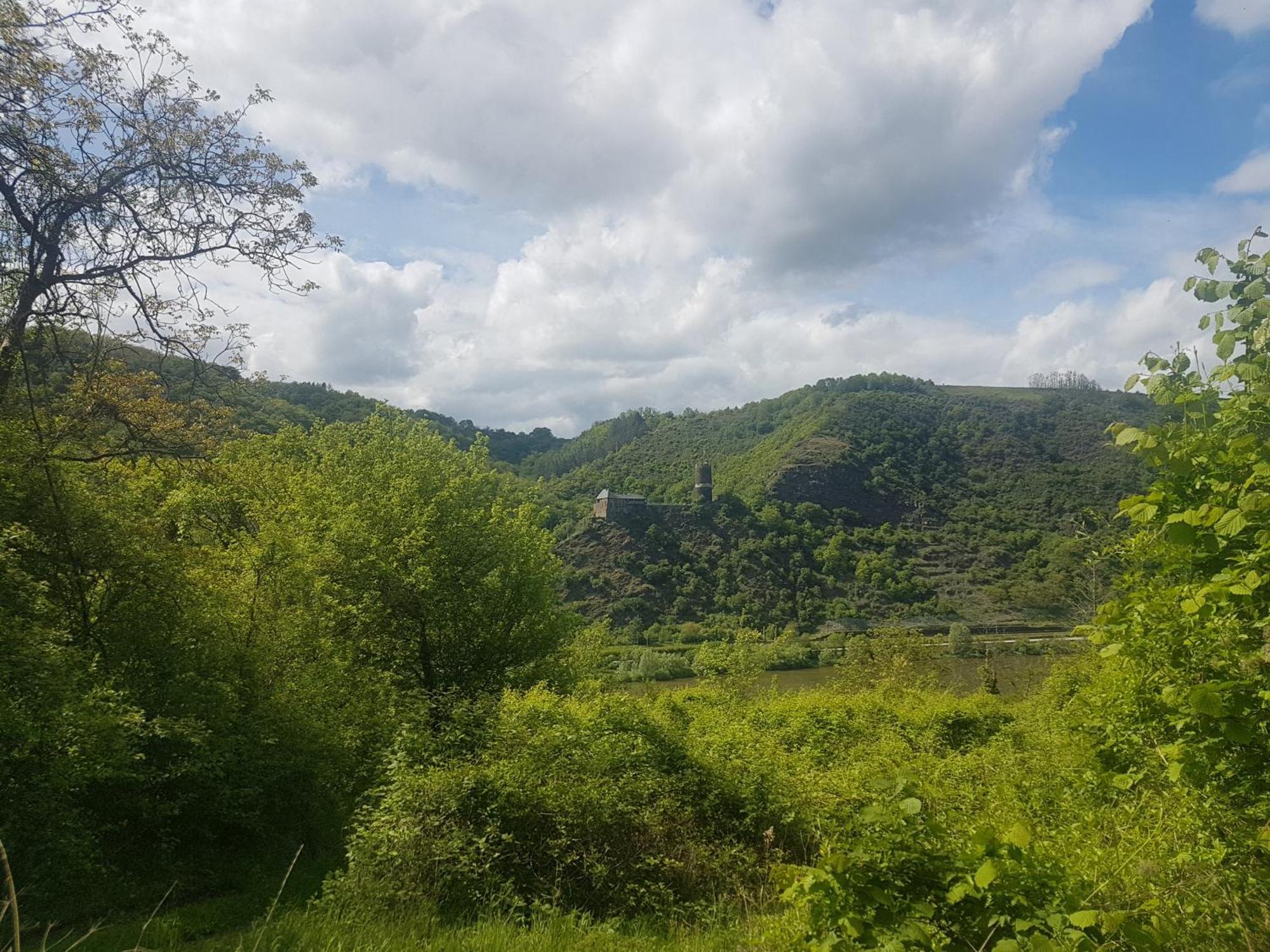 Ferienhaus Leopold Mit Burgblick An Der Mosel Burgen  Esterno foto